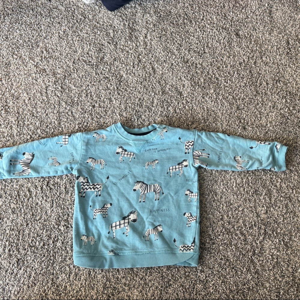 H&M Light Blue Zebra Print Kids Sweatshirt